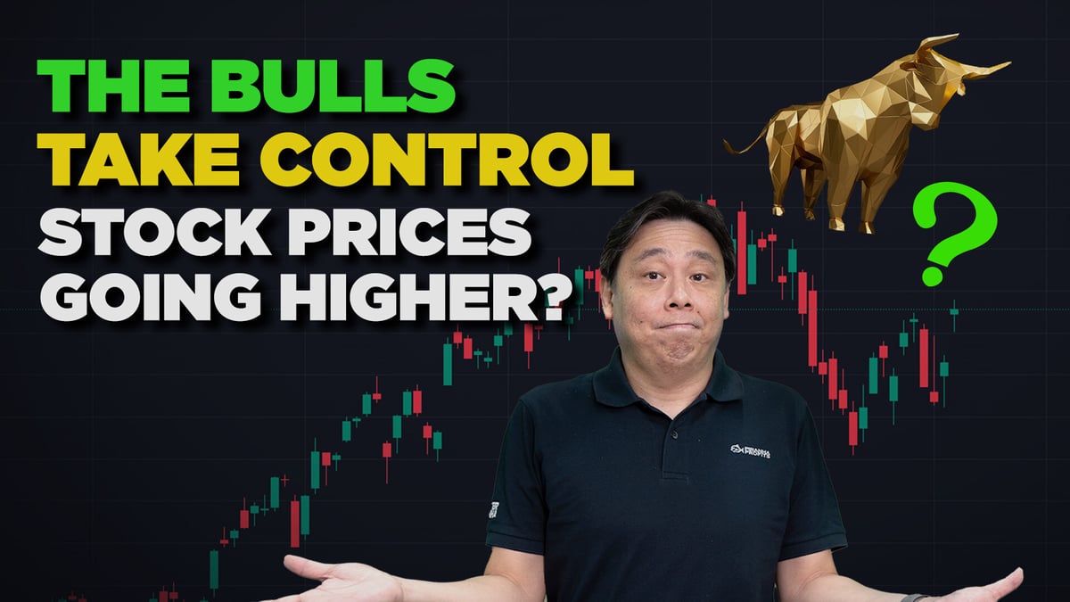 the bulls_-- (1)